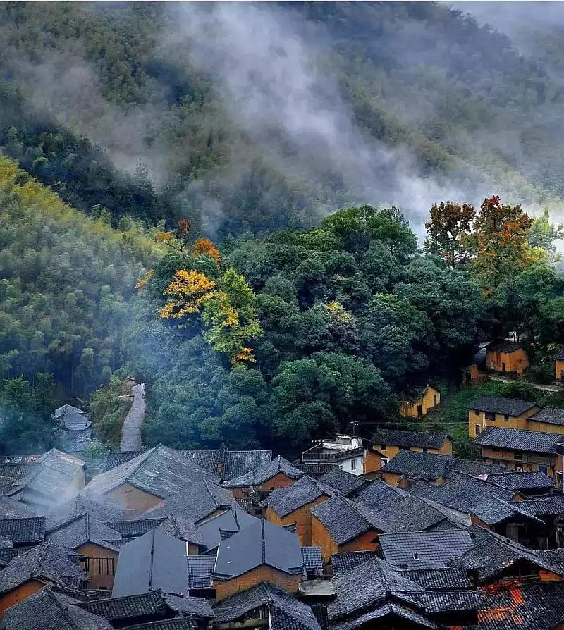 幽幽梦游记