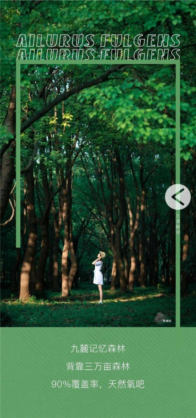 救援蝙蝠