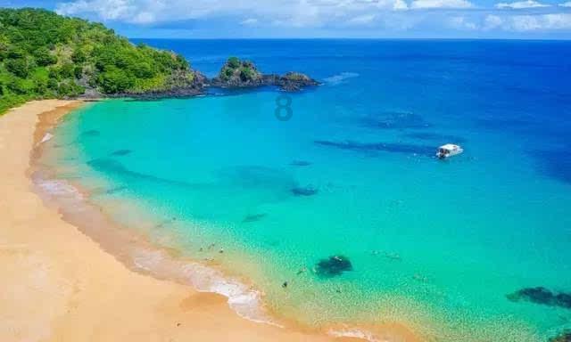 为了青海湖的这份别样美丽，青海湖景区管理局局长向委员“问计”！