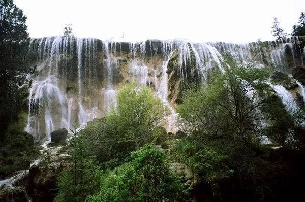糖尿病不能吃水果？这几种低糖水果，反而对稳定血糖有帮助！